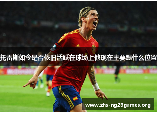 托雷斯如今是否依旧活跃在球场上他现在主要踢什么位置