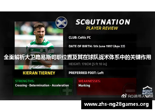 全面解析大卫路易斯司职位置及其在球队战术体系中的关键作用 全面解析大卫路易斯司职位置及其在球队战术体系中的关键作用