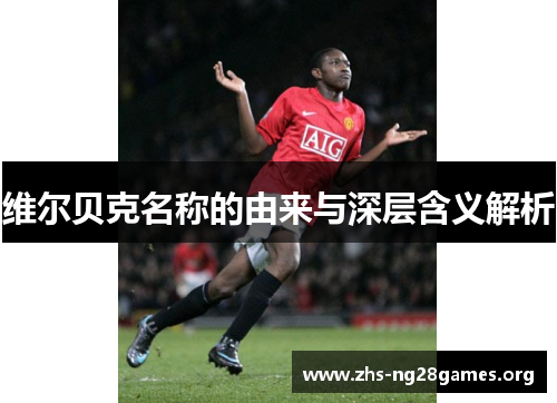 维尔贝克名称的由来与深层含义解析